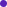 FLOX Elipses Purple